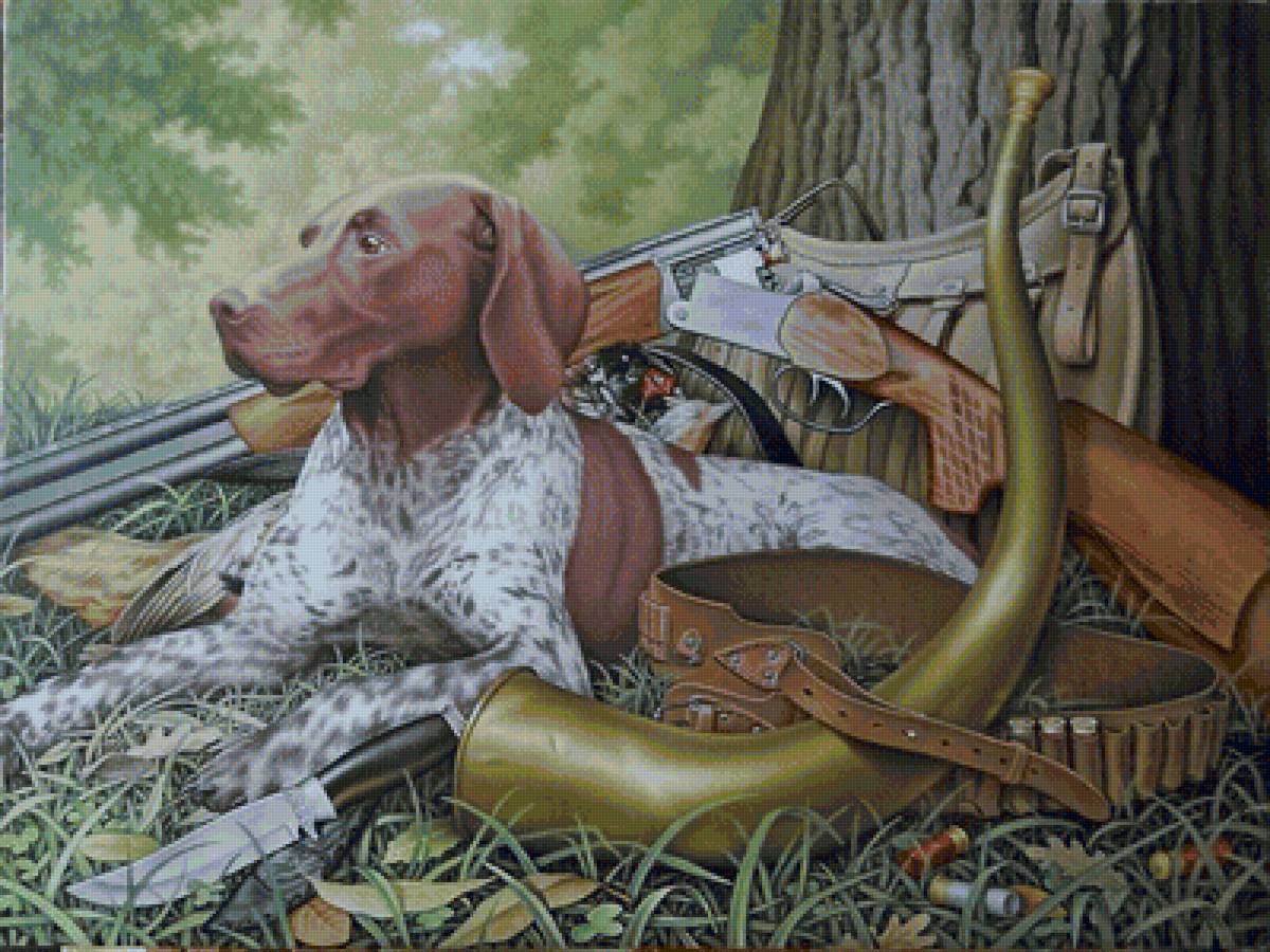 собака на охоте - охота, ружье, собака - предпросмотр