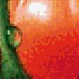 Предпросмотр схемы вышивки «томаты» (№1739914)