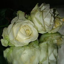 Оригинал схемы вышивки «розы» (№1741880)