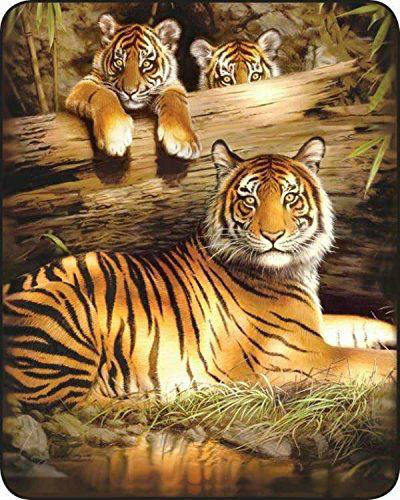 Мама с малышами - звери, животные, тигры - оригинал