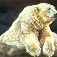 Оригинал схемы вышивки «Белый медведь» (№1743484)