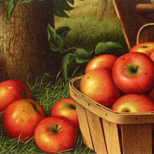 Оригинал схемы вышивки «Яблочки» (№1743529)