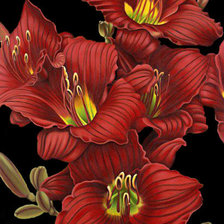 Оригинал схемы вышивки «Красные цветы» (№1745561)