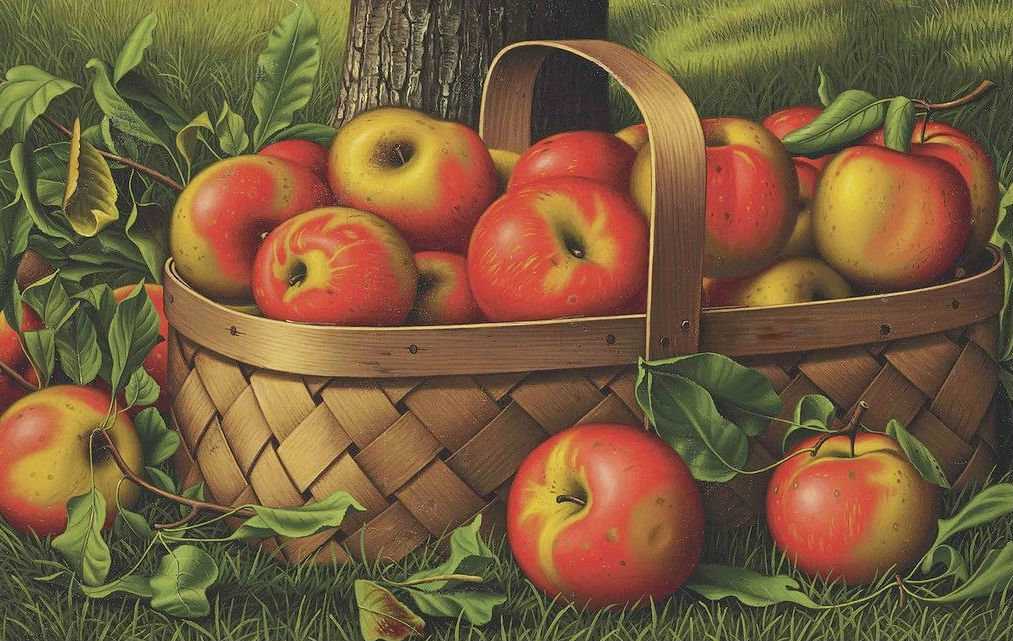 Яблоки в корзине - фрукты, яблоки - оригинал