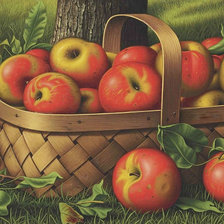 Оригинал схемы вышивки «Яблоки в корзине» (№1747786)