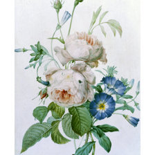 Оригинал схемы вышивки «Винтажные розы» (№1748210)