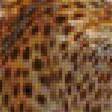 Предпросмотр схемы вышивки «Гепарды» (№1748410)