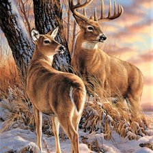 Схема вышивки «Deer in the snow 2»