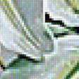 Предпросмотр схемы вышивки «Лилии,» (№1749250)