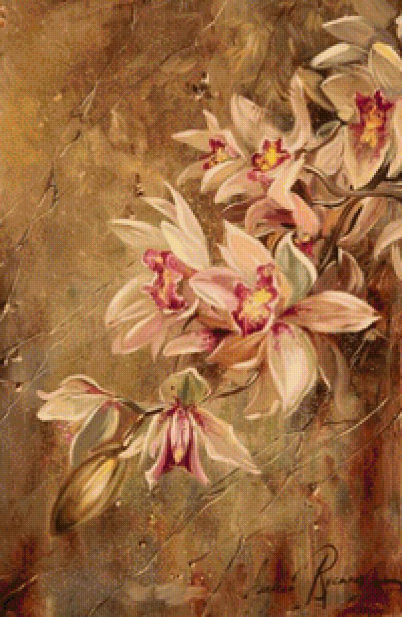 Rychkov orchids 3 - предпросмотр