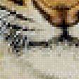 Предпросмотр схемы вышивки «Серия "Хищники". Тигрята» (№1752204)
