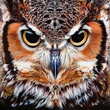 Схема вышивки «Cherokee owl»