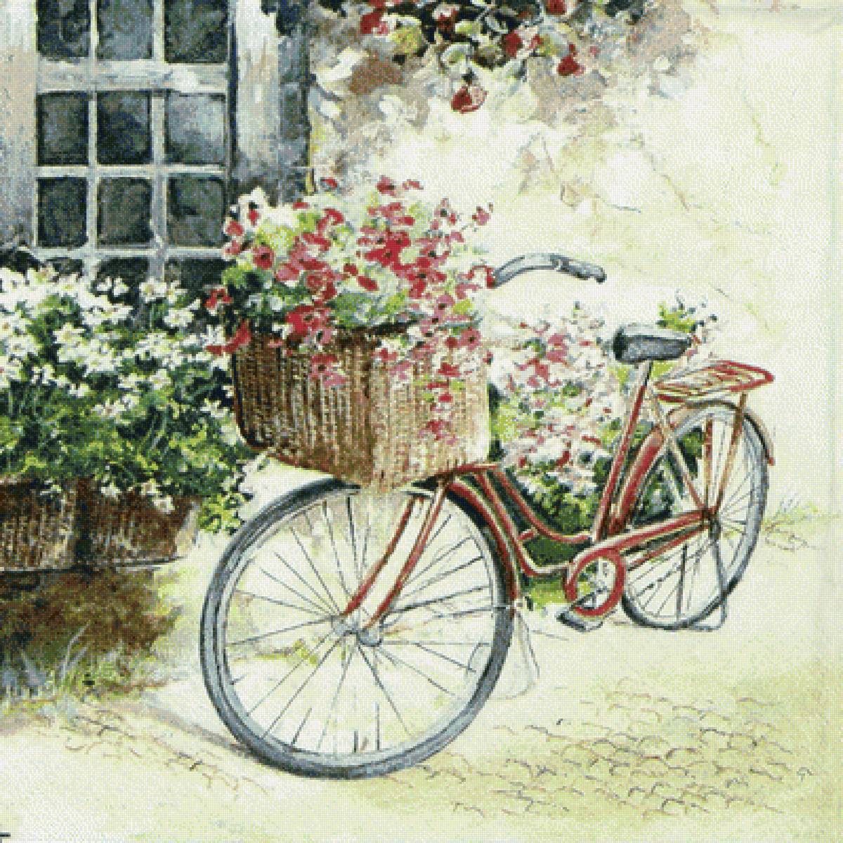 №1752876 - bike and flower - предпросмотр