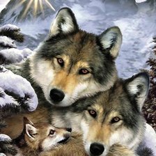 Волчья семья