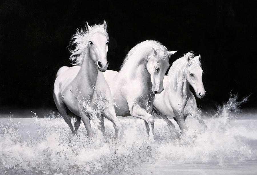 Белые кони - кони, лошади, на черном - оригинал