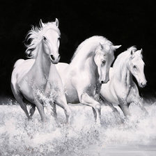 Оригинал схемы вышивки «Белые кони» (№1754746)
