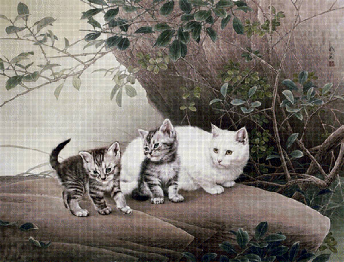 Котики - семейка, китайское, коты - предпросмотр