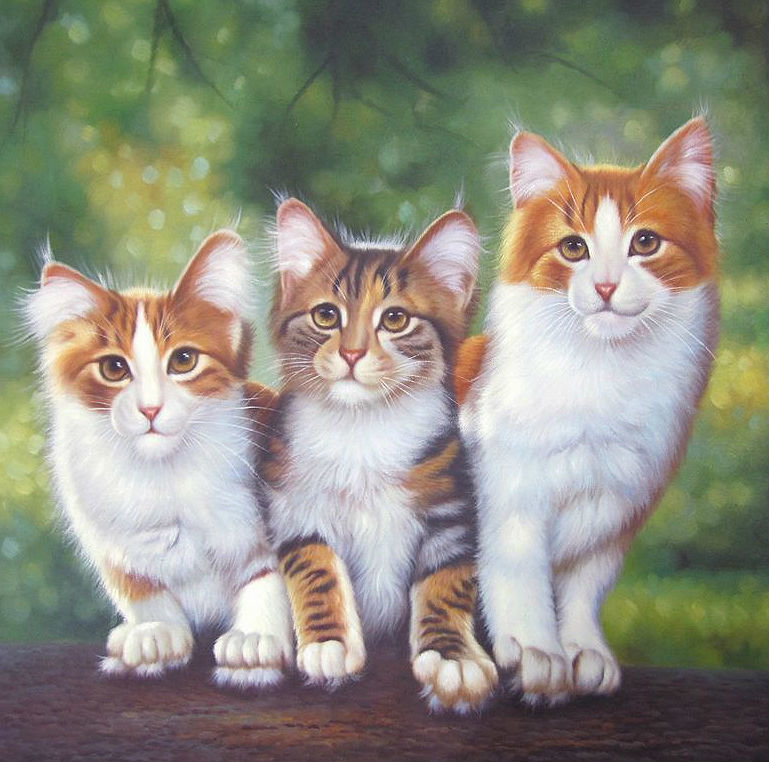 Котики - три котенка, котята, коты - оригинал