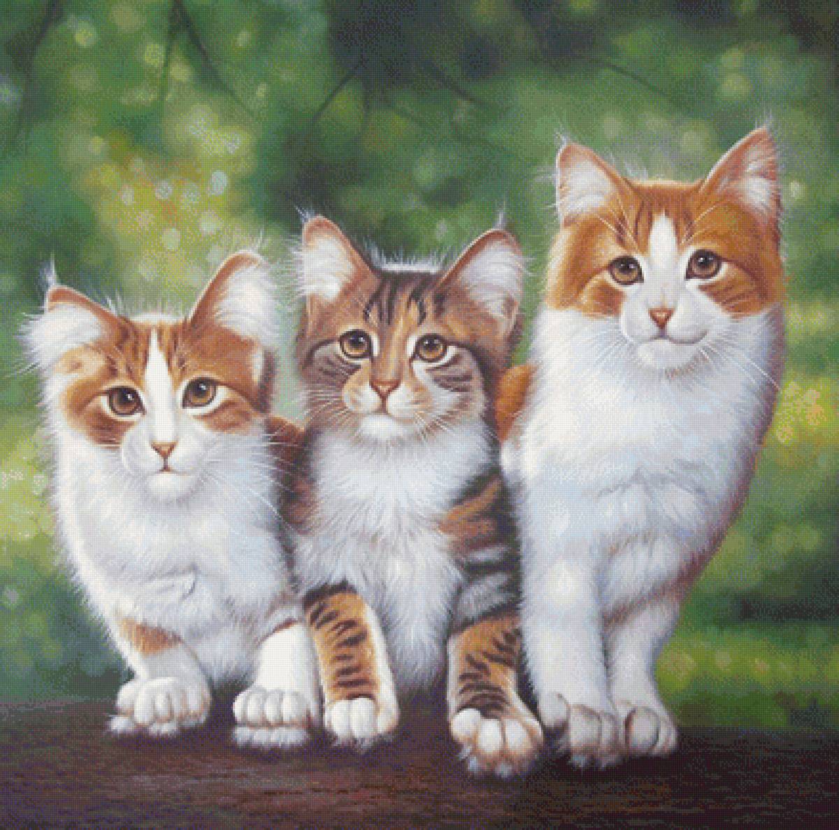 Котики - коты, котята, три котенка - предпросмотр