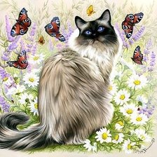 Схема вышивки «mačka,motýli»