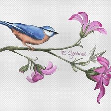 Схема вышивки «райская птица»