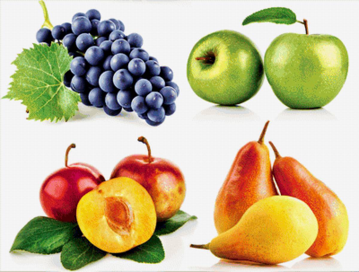 фрукты - фото, виноград, красота, фрукты - предпросмотр
