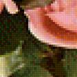Предпросмотр схемы вышивки «нежные розы» (№1759756)