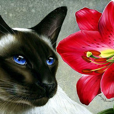 Схема вышивки «mačka,kvet»