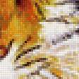 Предпросмотр схемы вышивки «tiger» (№1765294)
