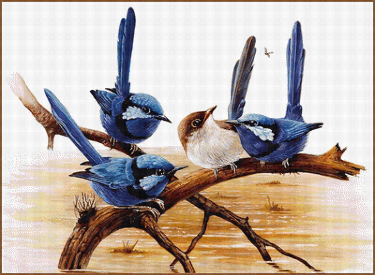 Птицы на ветке - птицы, синие птицы. - предпросмотр