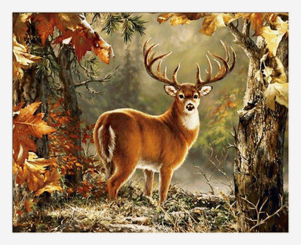 Серия "Олени". Осенью - пейзаж, животные, олень, осень - предпросмотр