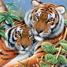 Оригинал схемы вышивки «Пара тигров» (№1770806)