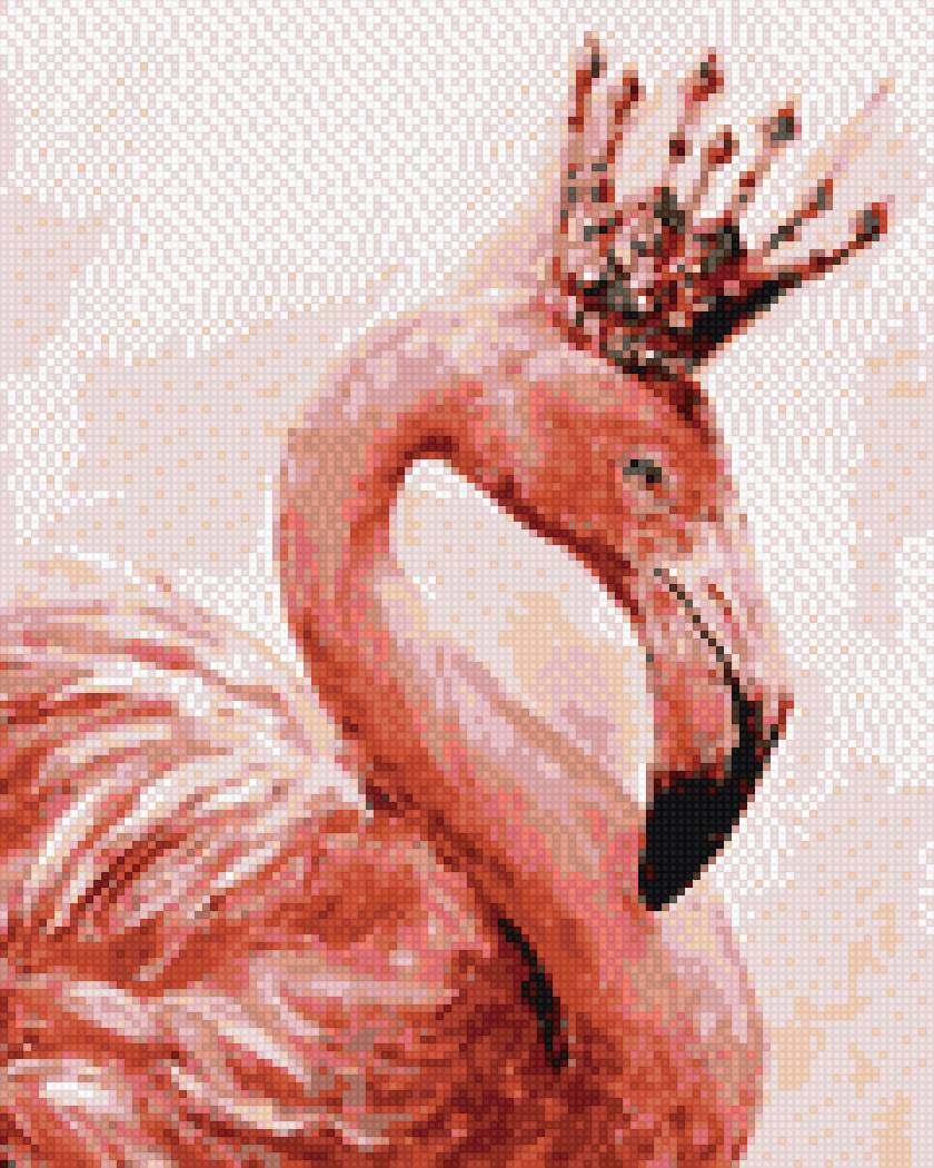 Фламинго - фламинго, корона - предпросмотр