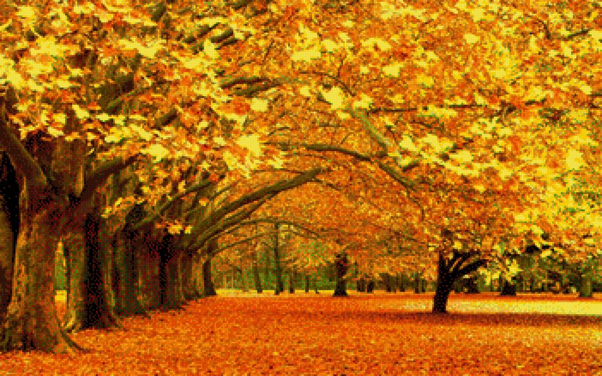 Осень в лесу - осень, деревья, лес - предпросмотр