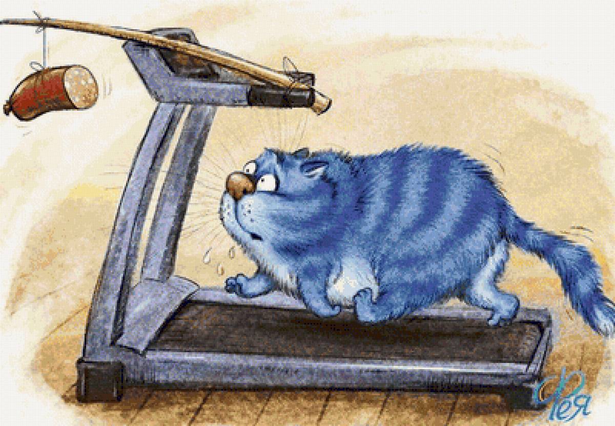 фитнес 2 - синий кот, фитнес, зенюк - предпросмотр