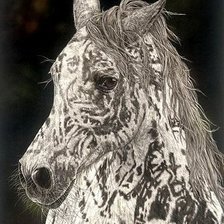 Оригинал схемы вышивки «лошадь» (№1772944)