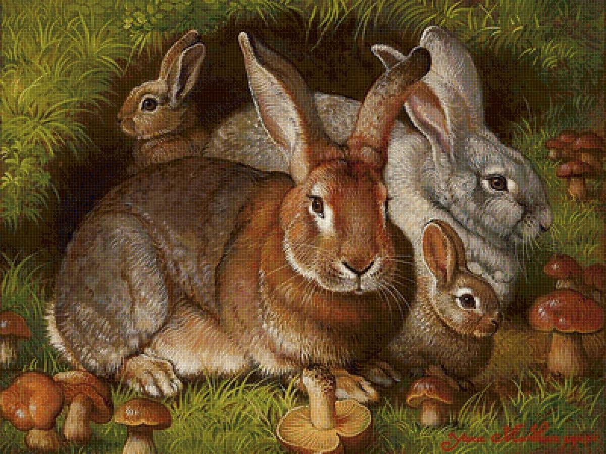 кролики - кролики - предпросмотр