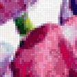 Предпросмотр схемы вышивки «акварельные тюльпаны» (№1774016)