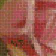 Предпросмотр схемы вышивки «Розовые розы» (№1774693)