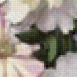 Предпросмотр схемы вышивки «kvety» (№1775066)