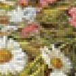 Предпросмотр схемы вышивки «Полевые цветы и грибы» (№1775417)