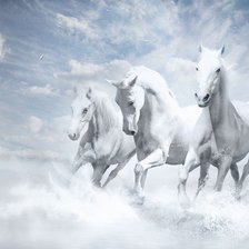 Схема вышивки «белые лошади»