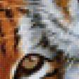 Предпросмотр схемы вышивки «Пара тигров» (№1777453)
