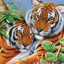 Оригинал схемы вышивки «Пара тигров» (№1777453)