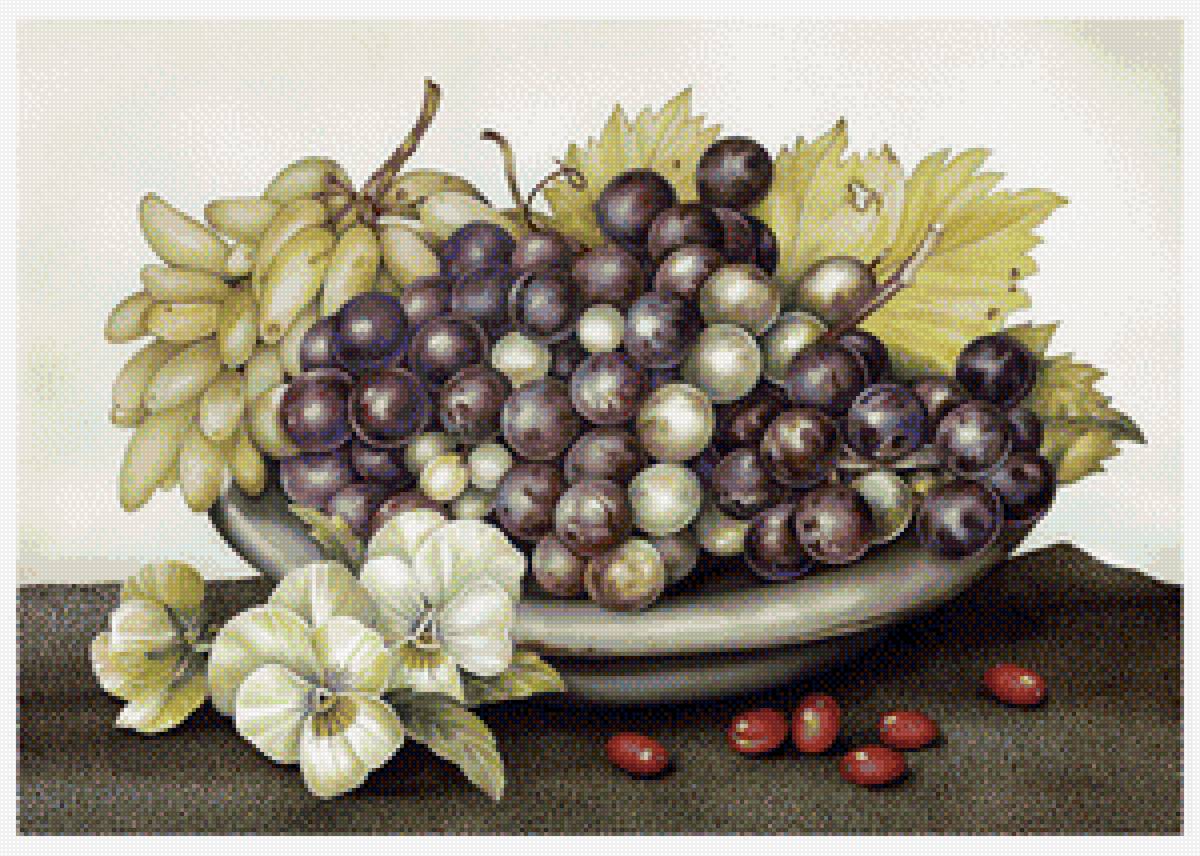 Натюрморт - фрукты, виноград - предпросмотр