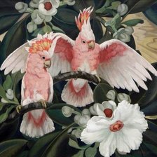 Розовые попугаи по картине Джесси Армс Ботк