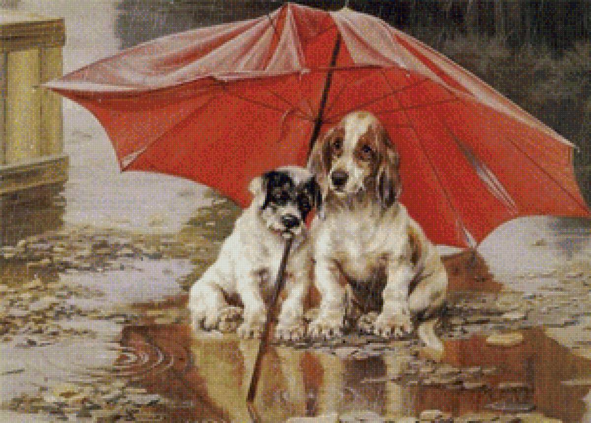 Двое под зонтом - зонт, собаки, двое, живопись, дождь - предпросмотр
