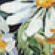 Предпросмотр схемы вышивки «poľné kvety» (№1782464)