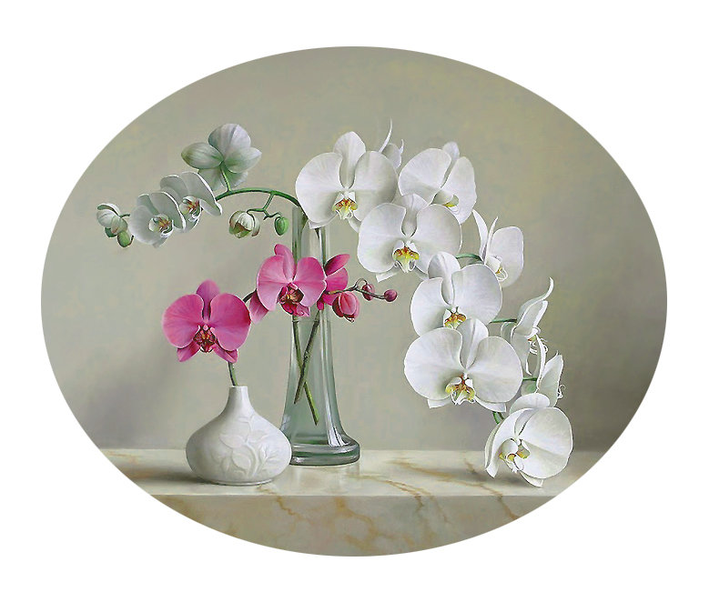Серия "Орхидеи" - цветы, натюрморт, букет, орхидеи - оригинал