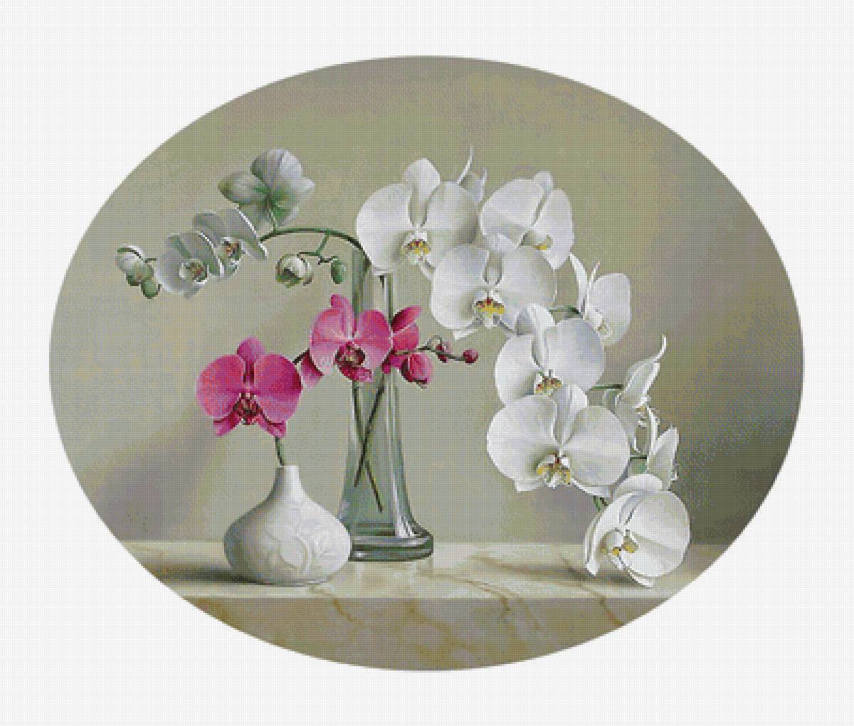 Серия "Орхидеи" - букет, цветы, натюрморт, орхидеи - предпросмотр